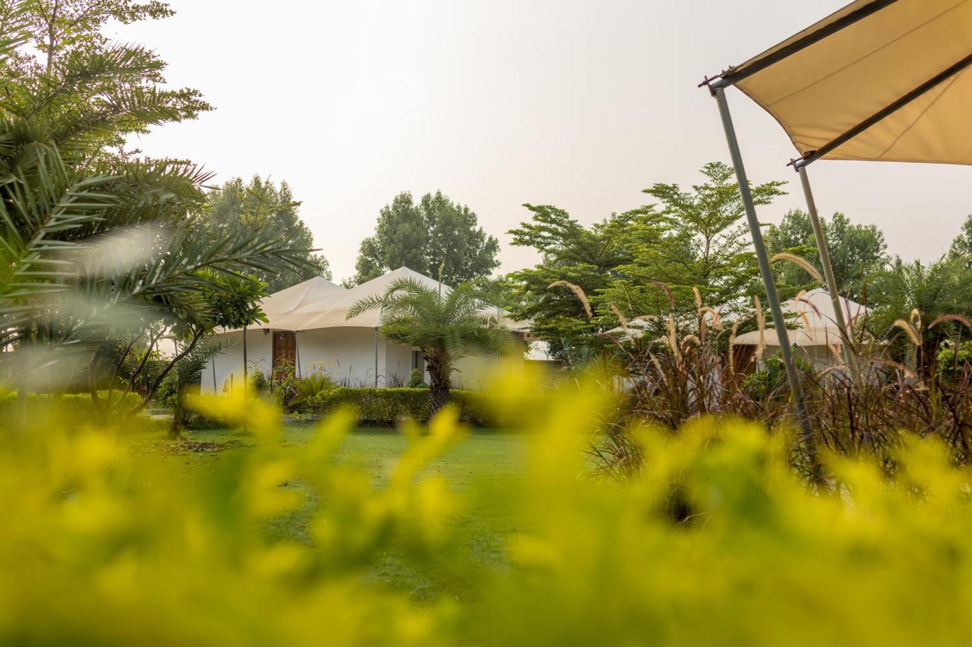 Clarks Safari Ranthambore Khilchipur  Exterior photo
